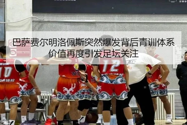 ba-sa-fei-er-ming-luo-pei-si-tu-ran-bao-fa-bei-hou-qing-xun-ti-xi-jia-zhi-zai-du-yin-fa-zu-tan-guan-zhu-1-542.jpg